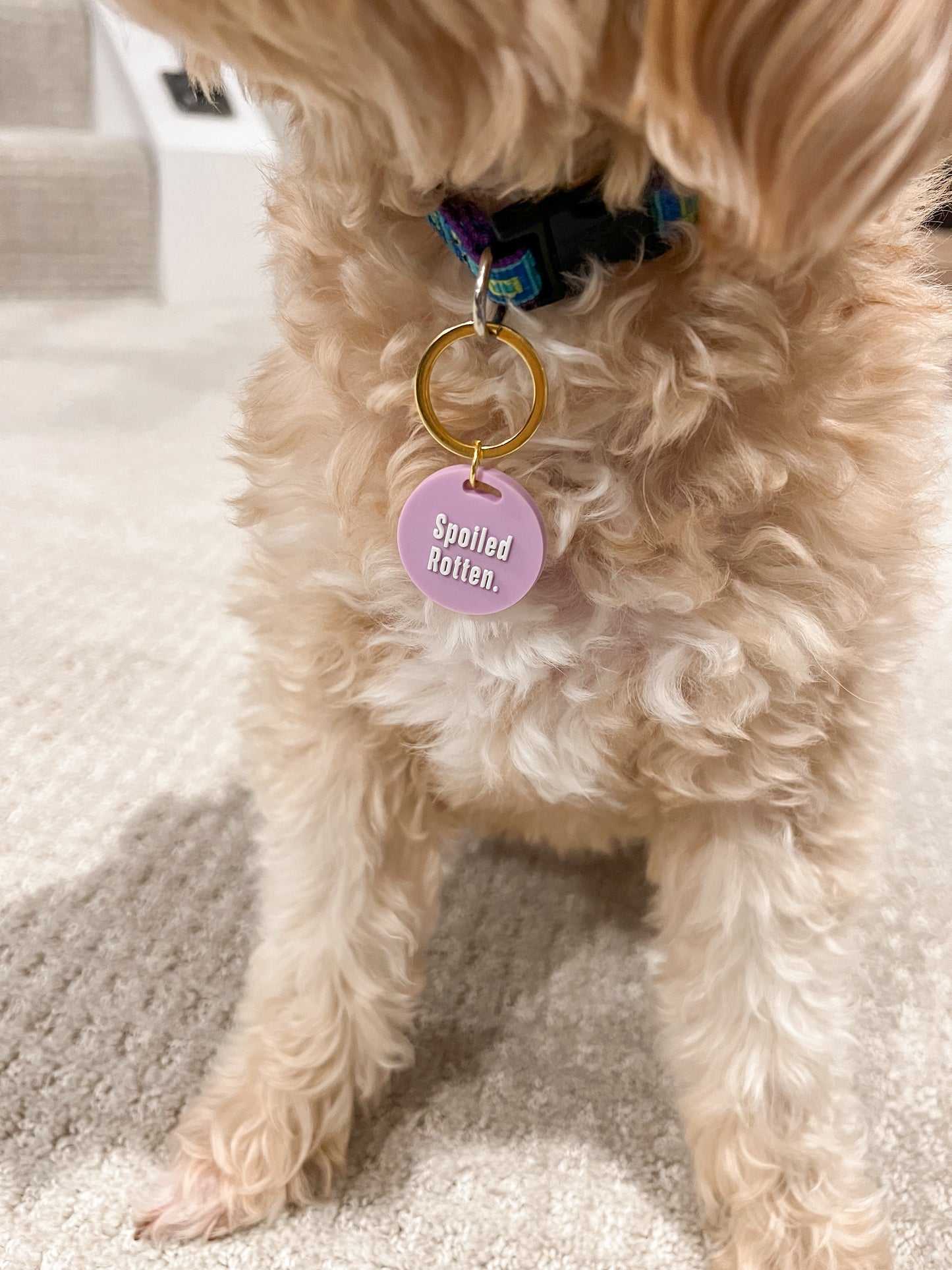 Dog Tag & Keychain Duo