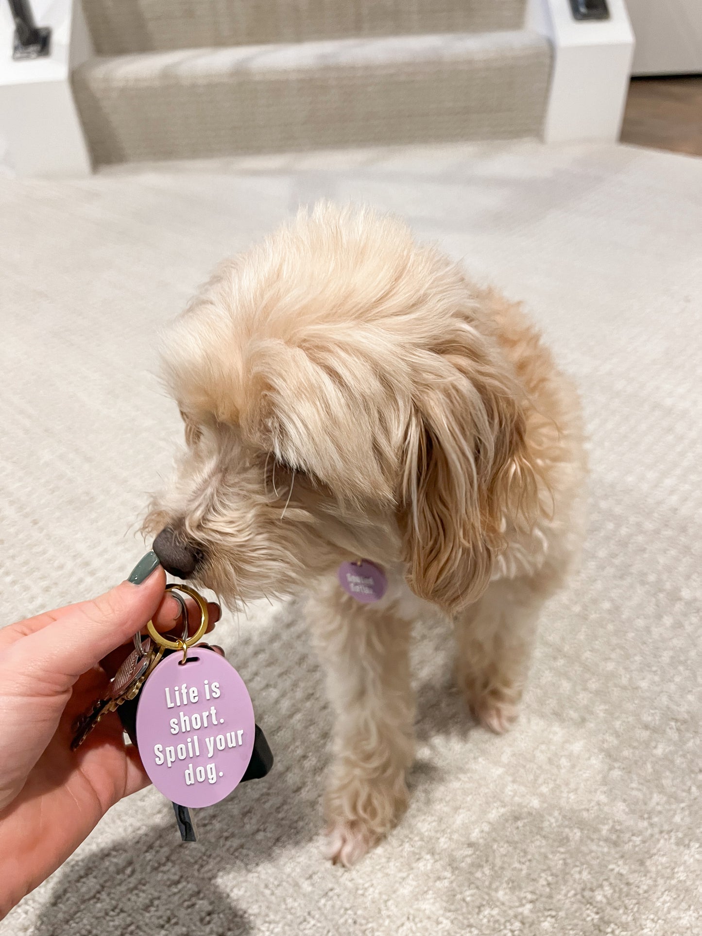 Dog Tag & Keychain Duo