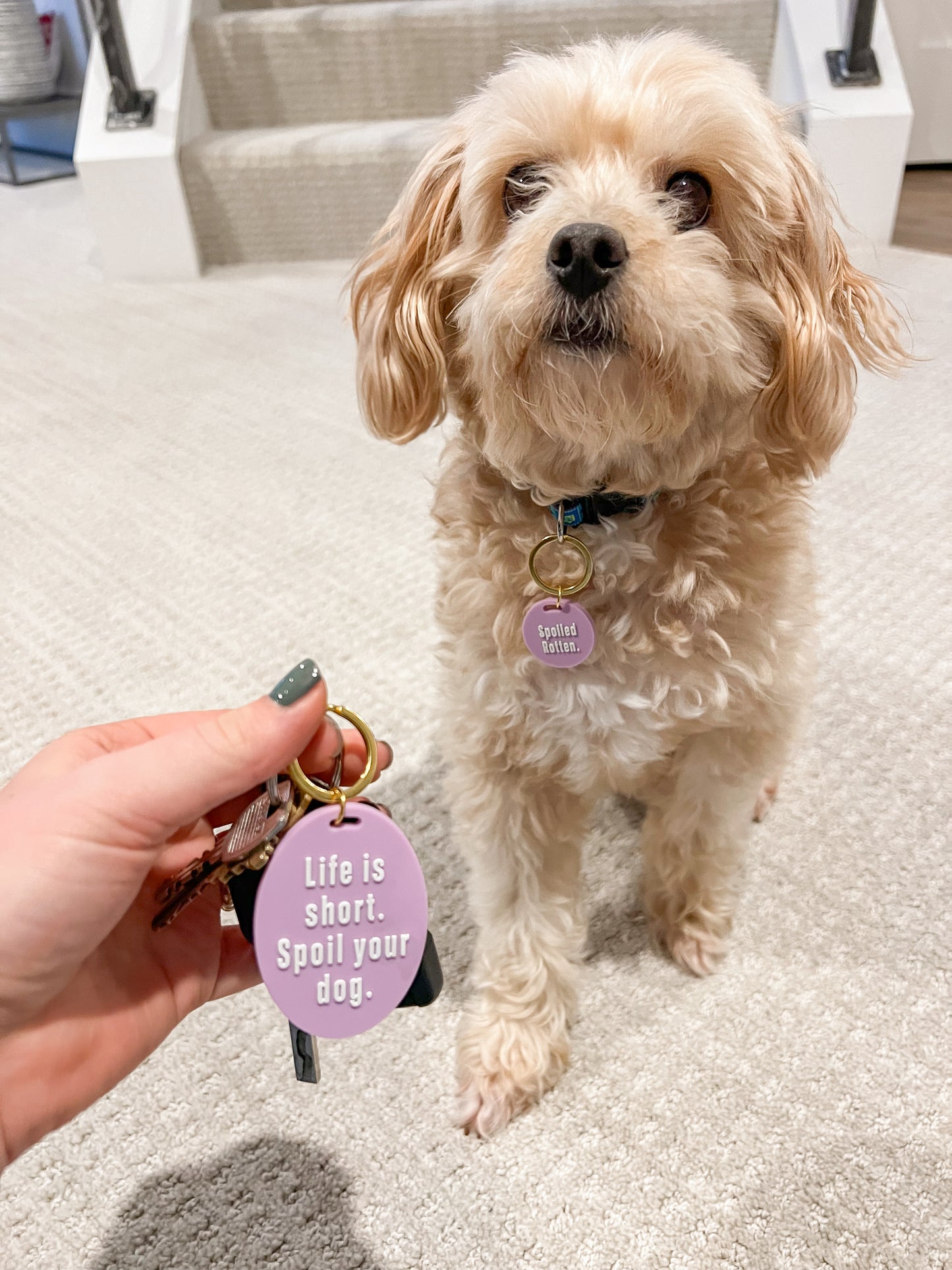 Dog Tag & Keychain Duo