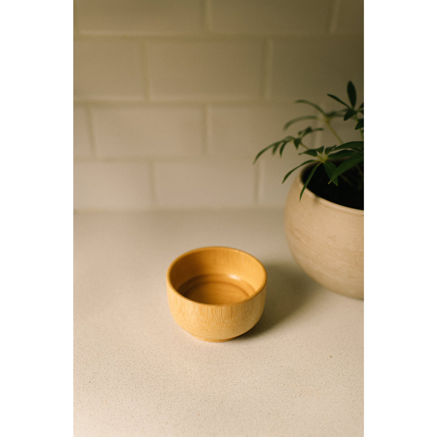 Bamboo Bowl