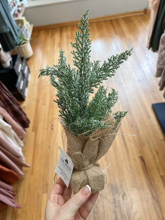 Snowy Mini Tree w/Burlap