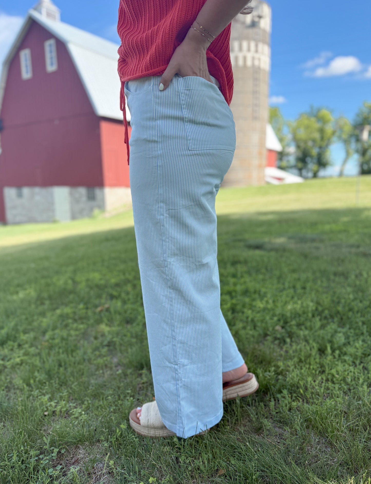 Striped Wide Leg Stretchy Pants - Sky Blue/White