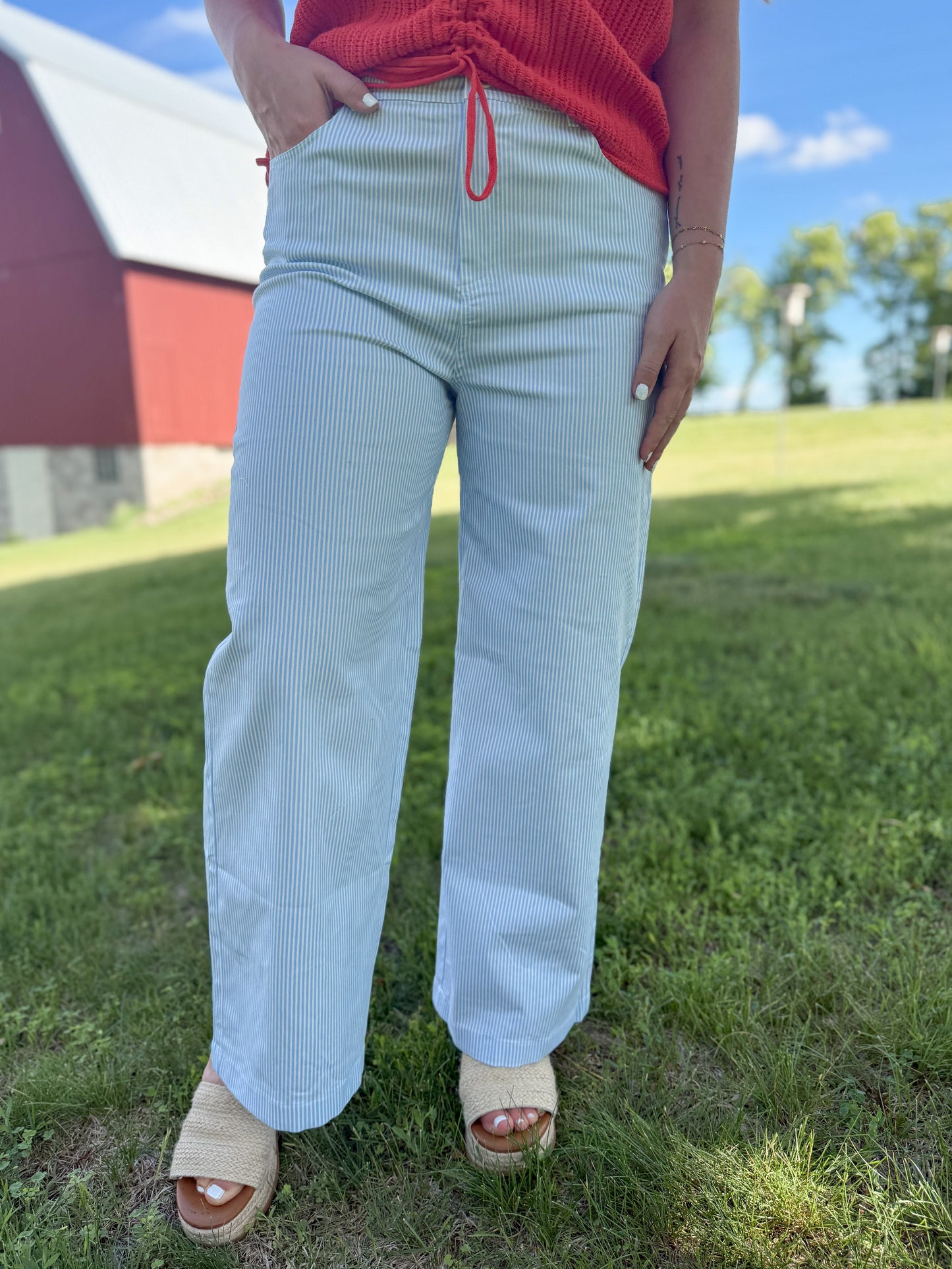 Striped Wide Leg Stretchy Pants - Sky Blue/White