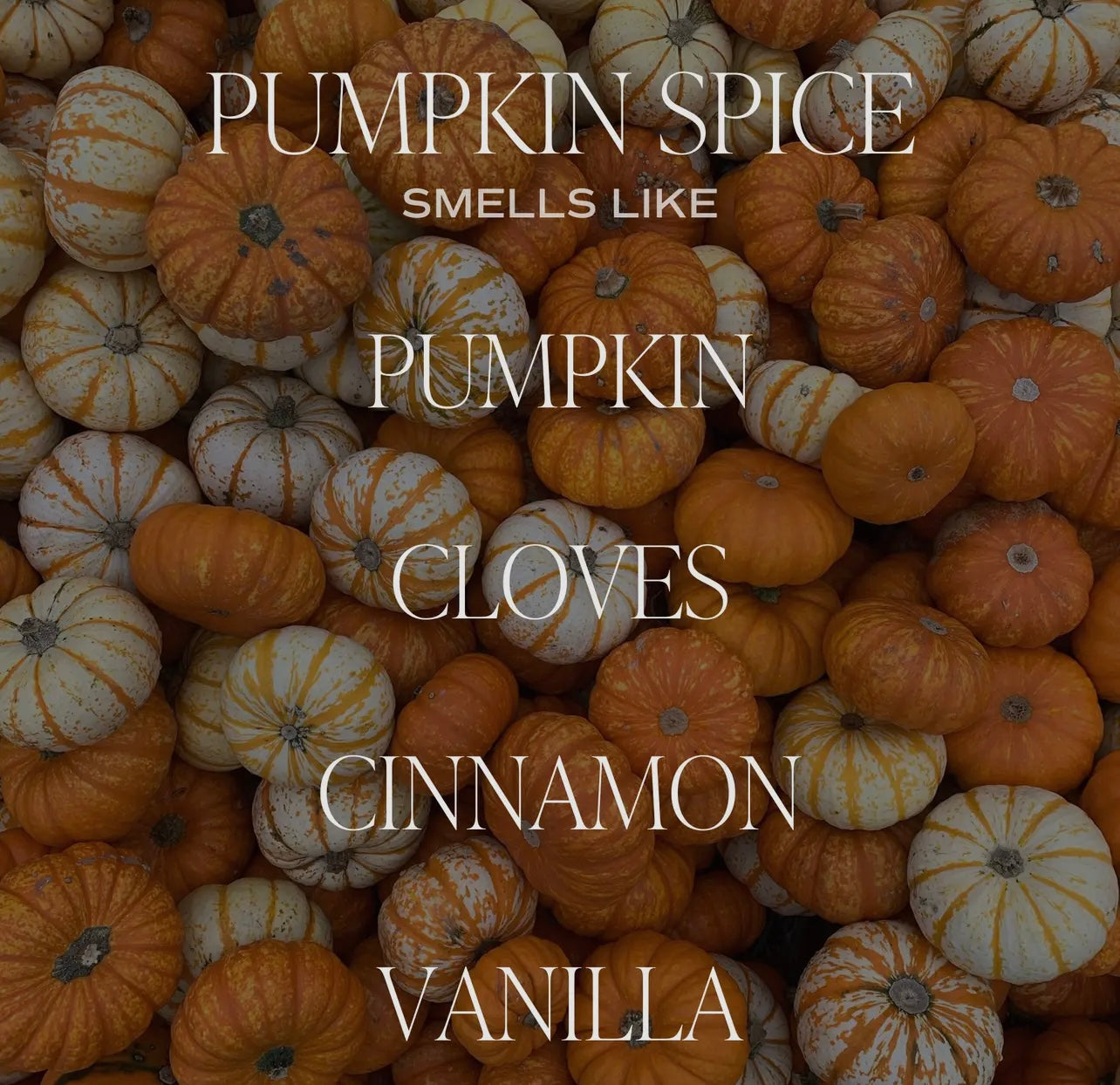 Pumpkin Spice Soy Candle - 11oz