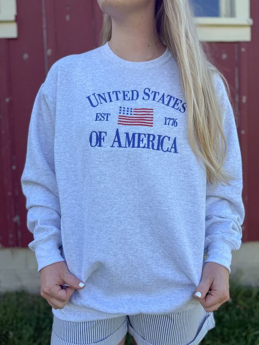 USA Embroidered Crewneck - Ash Grey