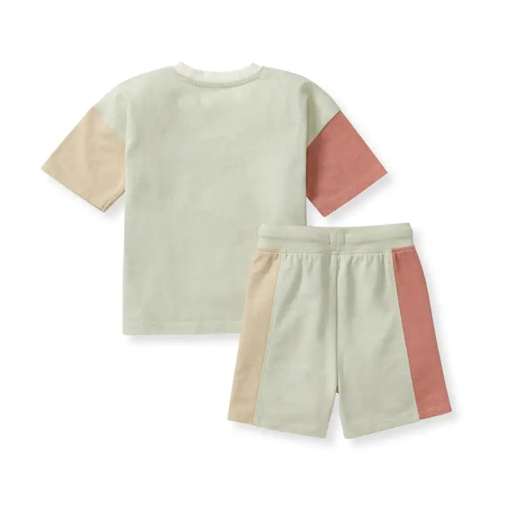 Color Block Boy Tee & Shorts Set
