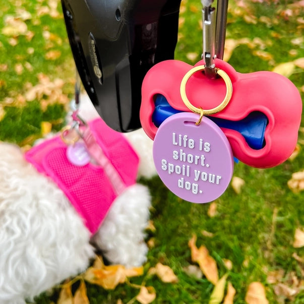 Dog Tag & Keychain Duo